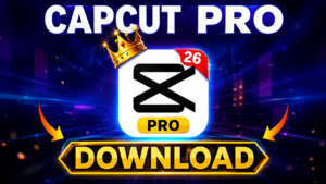 How to fix capcut no internet connection | 100% Working trick